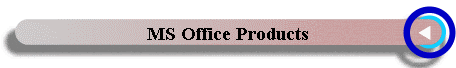MS Office Products