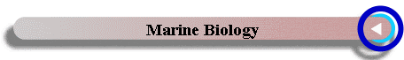 Marine Biology