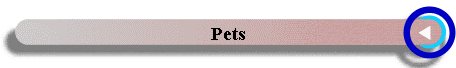 Pets