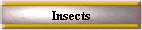 Insects